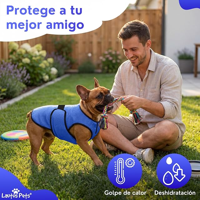 Foto 3 de 7 de Chaleco Refrigerante para Perros - Chaqueta Ligera con Cremallera y Cierre Ajustable