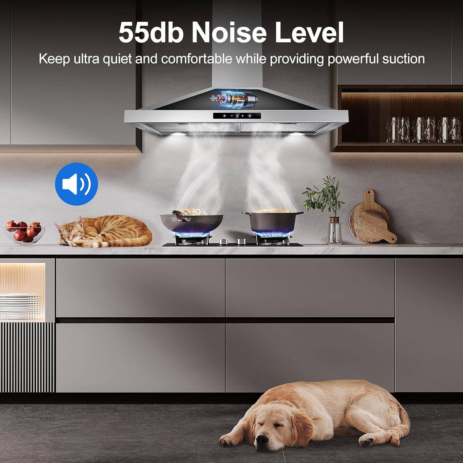 Range hood operating at 55dB noise level, with a cat and dog sleeping peacefully nearby.