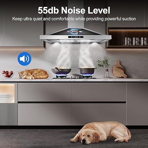 Miniatura 3 de Campana extractora de 30 pulgadas para montaje en pared, campana de ventilación de cocina de 450 CFM en acero inoxidable, campana de ventilación de