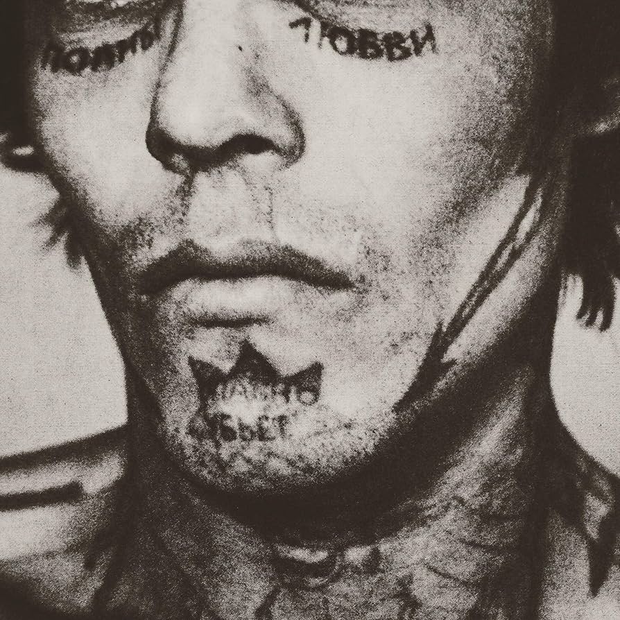 その他 Hatred Stems from the Seed [CD] Amazon.co.jp: Hatred Stems From The Seed: Music