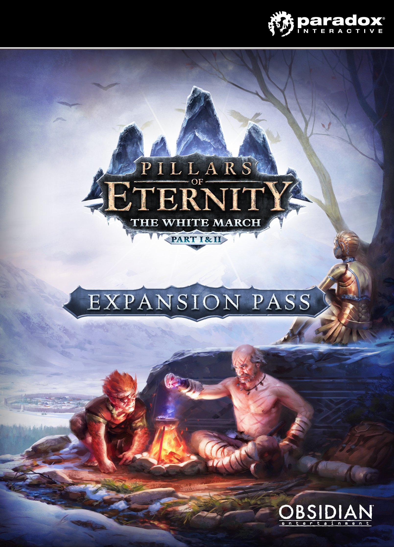 Pillars of Eternity Expansion Pass Code Steam PC Mac complet - 8