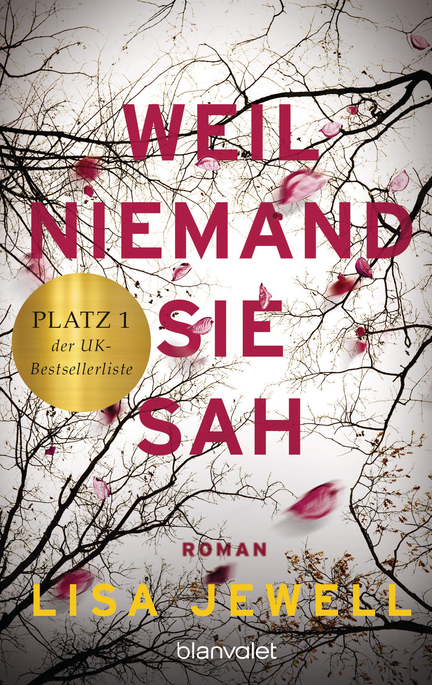 Weil niemand sie sah: Roman