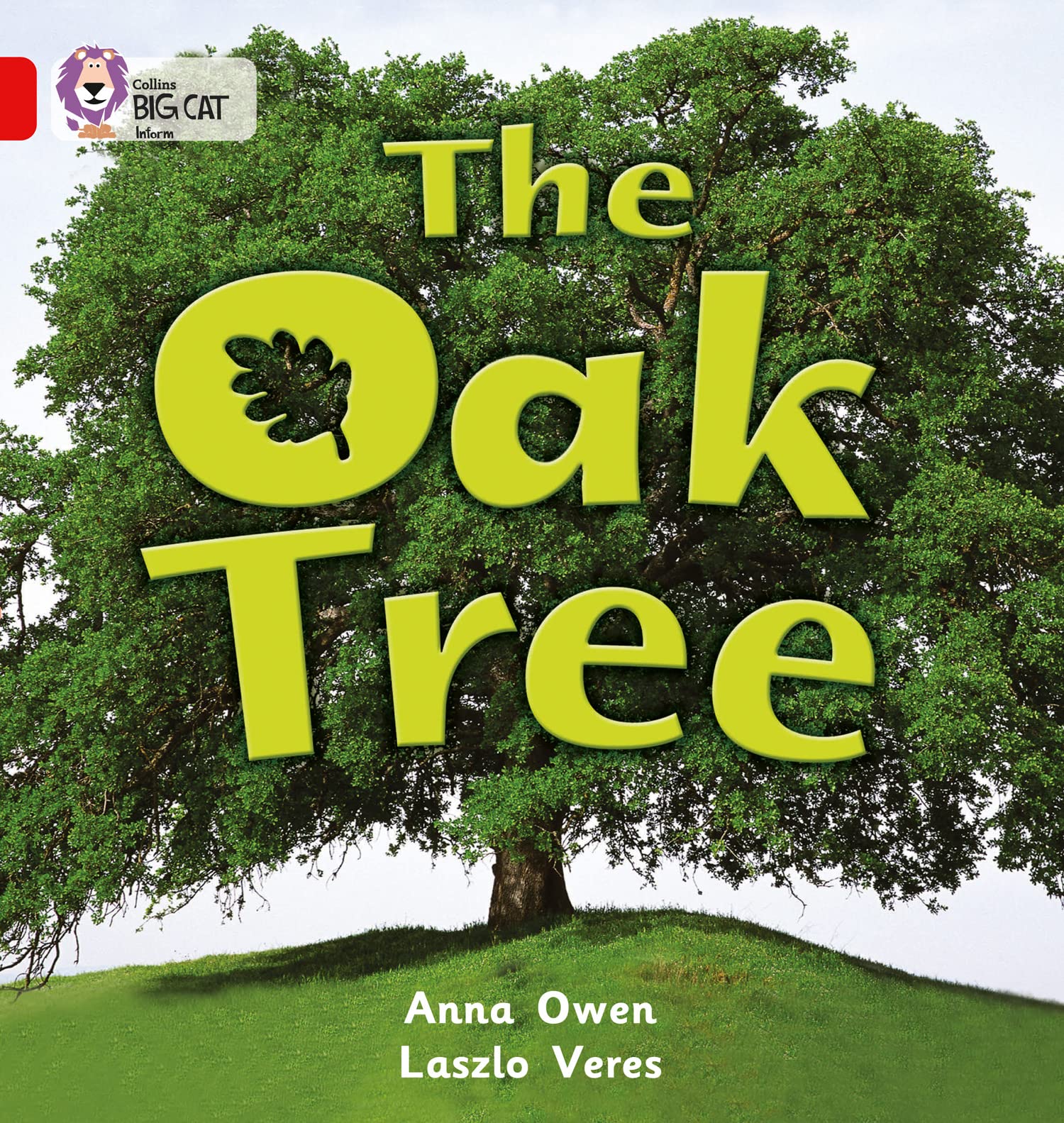 The Oak Tree: A non-fiction photographic picture book about the different parts of an oak tree. (Collins Big Cat)