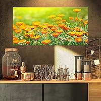 Vista 10 de Impresión floral de la lona de flores de caléndula amarilla