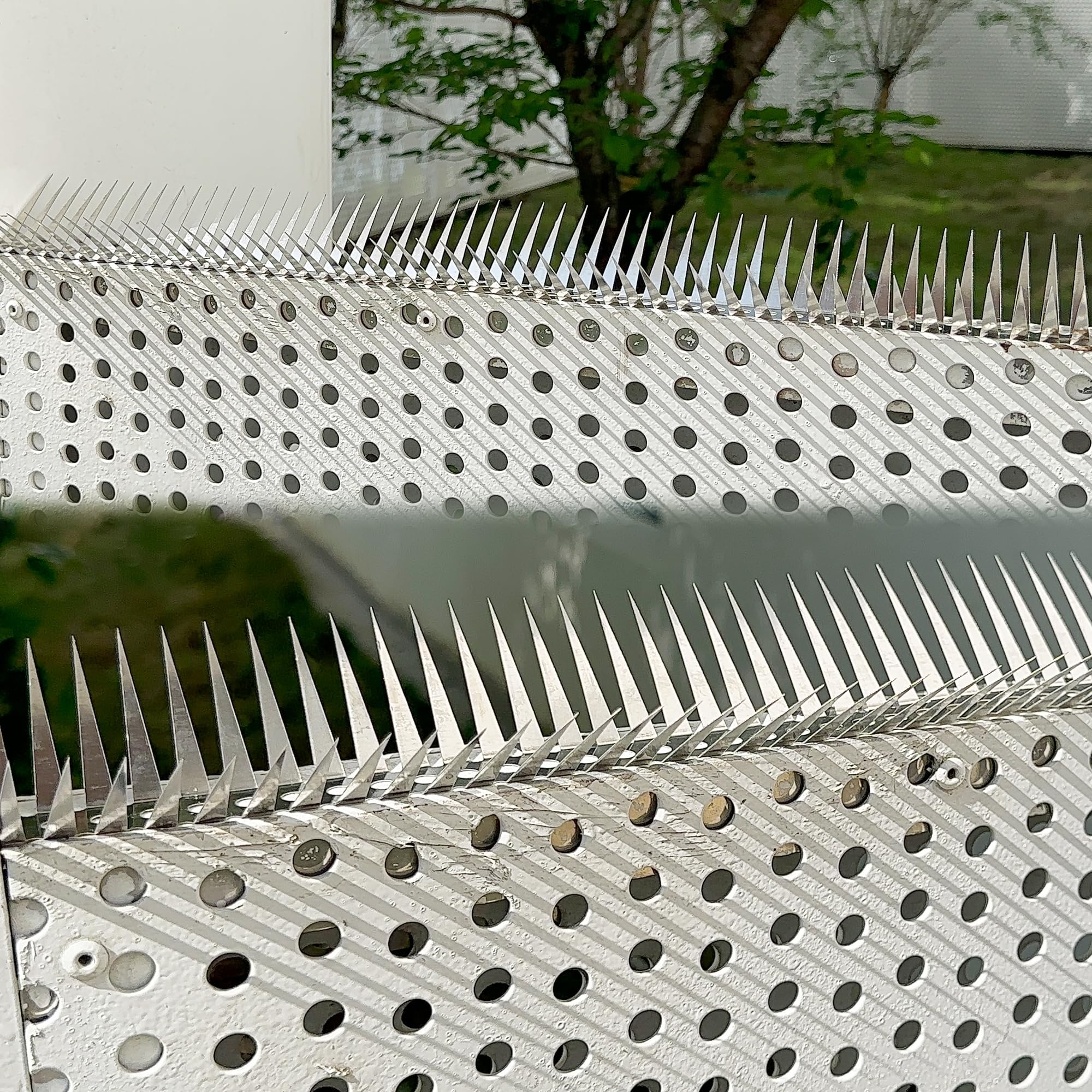 Snapklik.com : Bird Spikes Stainless Steel Fence Spike 51 Inch Long