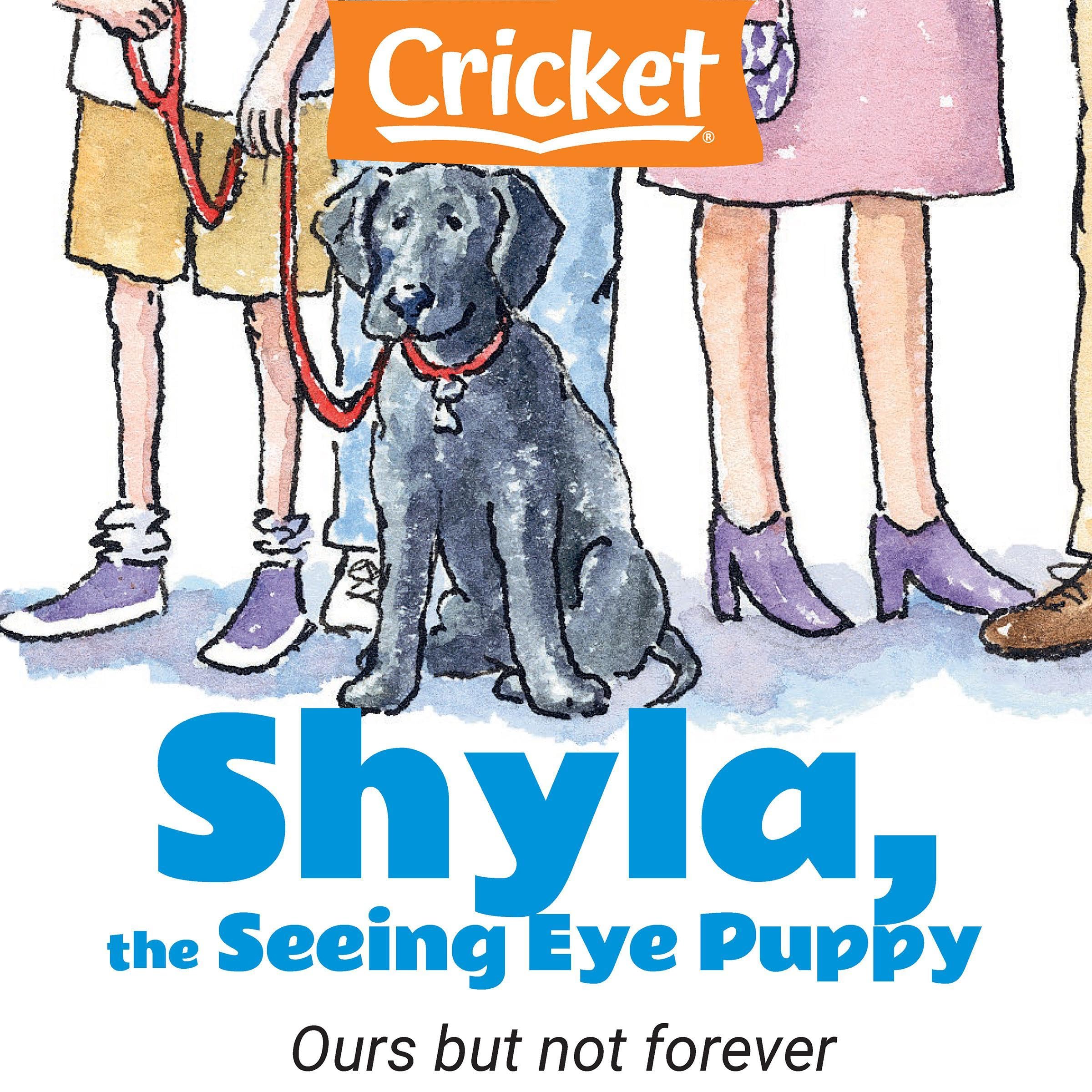 Shyla, the Seeing Eye Puppy