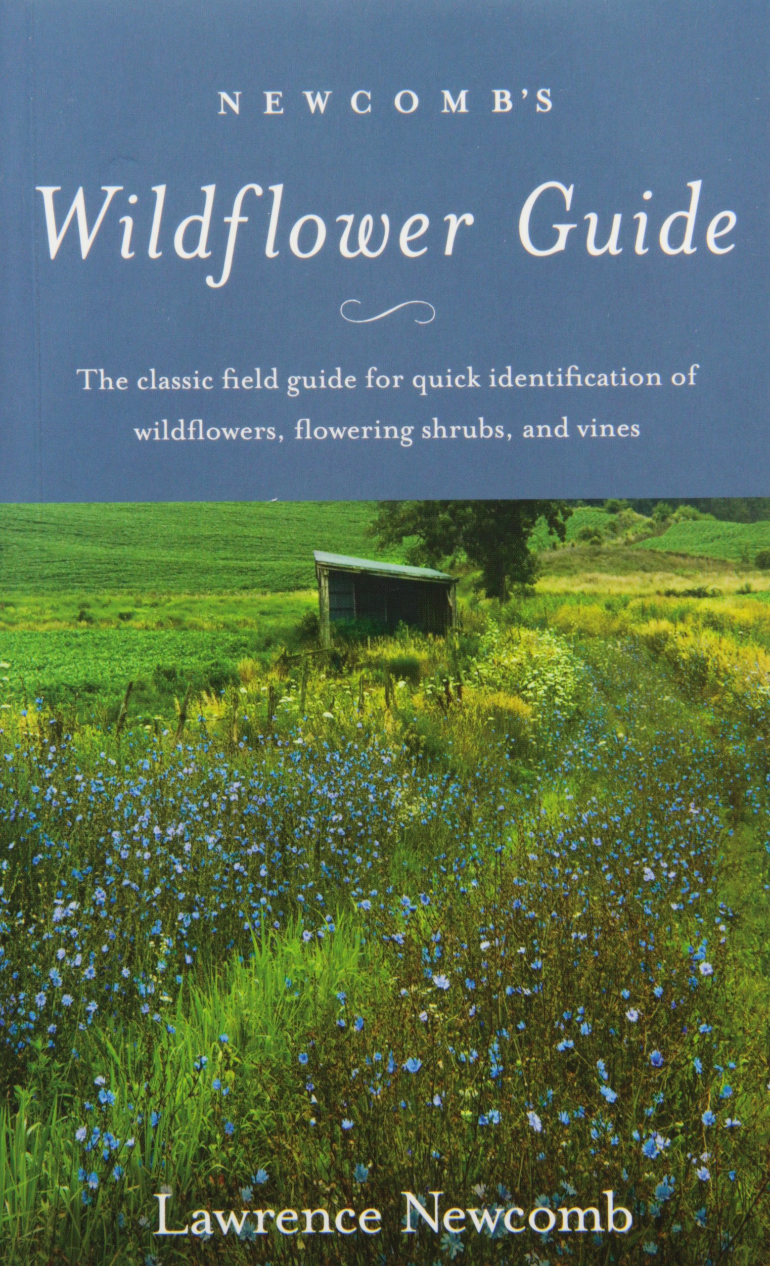 Buy Newcomb s Wildflower Guide An Ingenious New Key System For Quick Buy Newcomb s Wildflower Guide An Ingenious New Key System For Quick