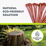 Chiodi in Rame per Ceppi di Alberi Killer | 50 x 65mm Chiodi in Rame Puro, una Soluzione Ecologica Efficace per la Rimozione di Ceppi di Alberi e l'Eliminazione delle Radici degli - 6