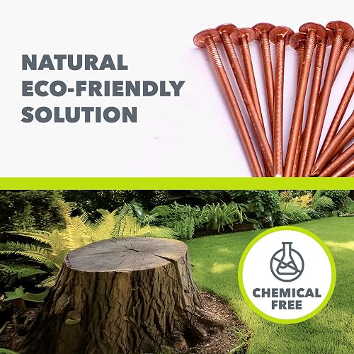 Chiodi in Rame per Ceppi di Alberi Killer | 50 x 65mm Chiodi in Rame Puro, una Soluzione Ecologica Efficace per la Rimozione di Ceppi di Alberi e l'Eliminazione delle Radici degli - 6