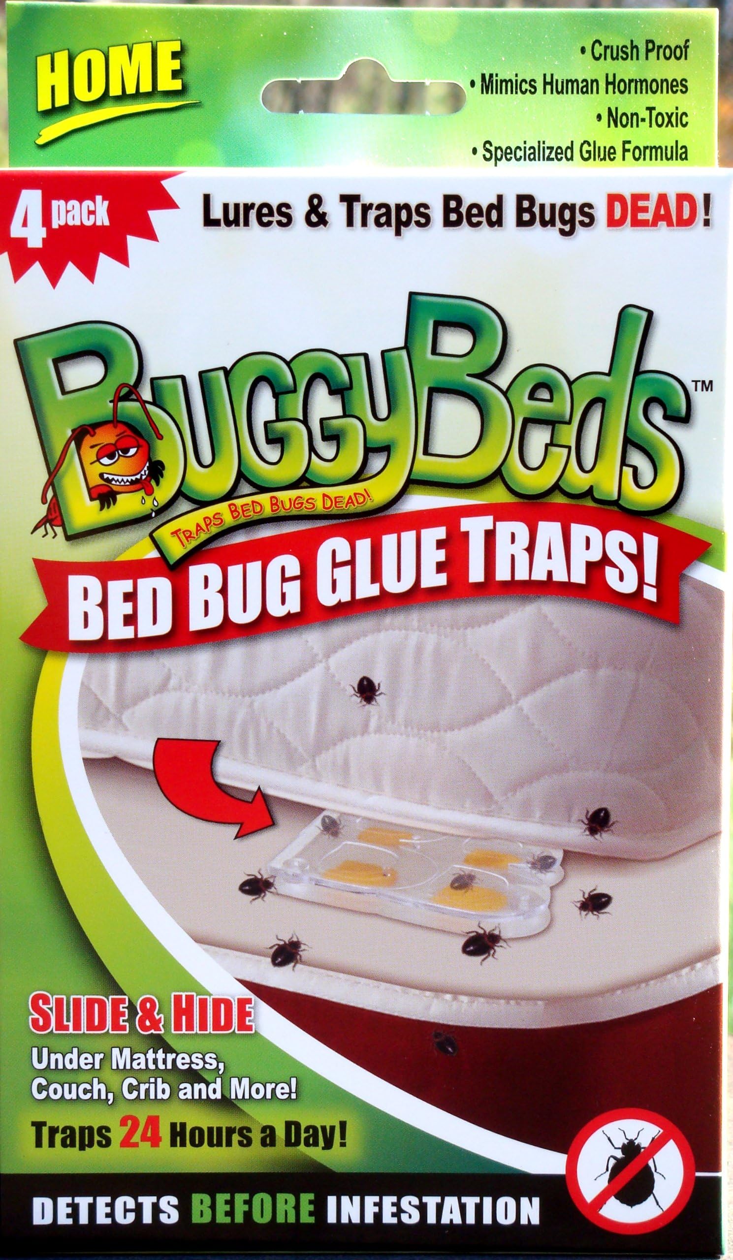 BuggyBeds Home Glue Traps (4 Pack) - Detect Before Infestation