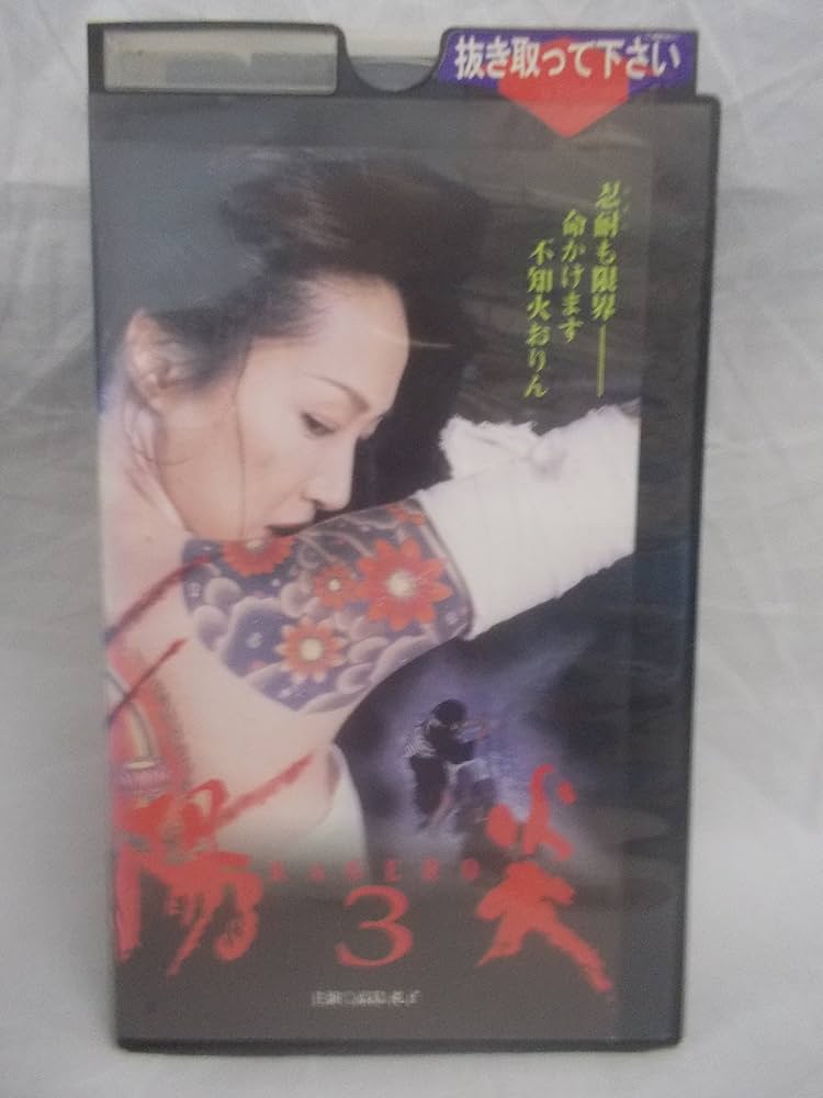 方言の旅 ことばビデオ３巻 VHS 方言の旅 ことばビデオ3巻 VHS 方言の旅 ことばビデオ3巻 VHS