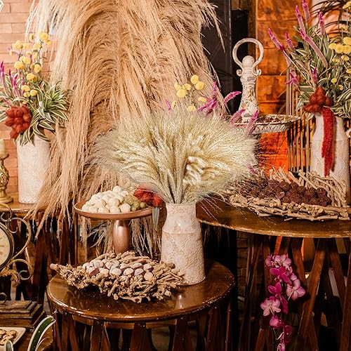 Miniatura 7 de 450 pzas de exquisita decoración natural de hierba de las pampas - hierbas de caña versátiles para decoración del hogar y eventos, hierba de caña