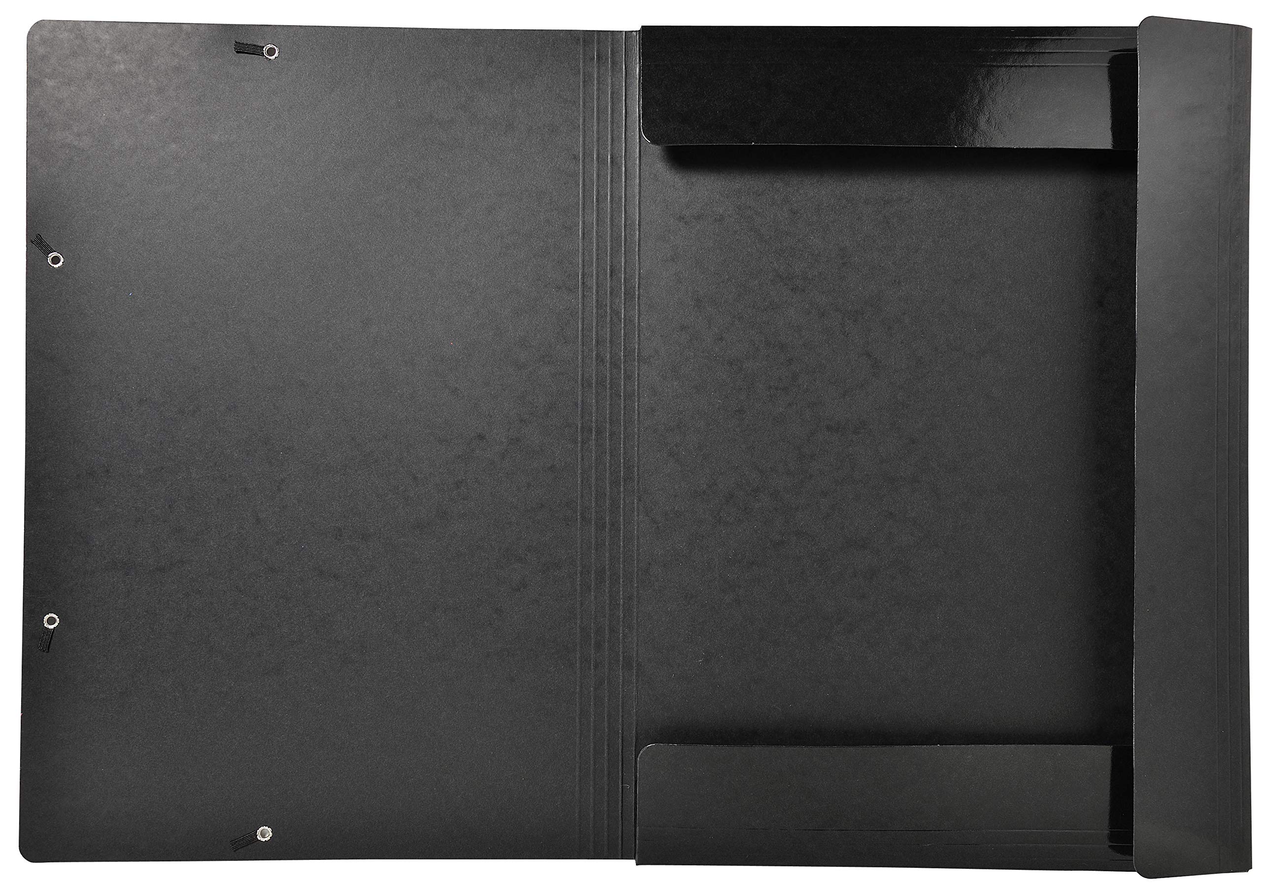 Exacompta 10 Chemises à Élastiques Iderama Maxi Capacity A3 600g/m²