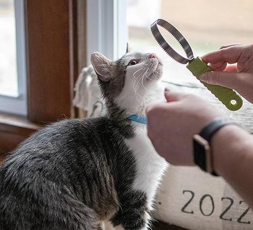 Miniatura 4 de Coastal Pet Safari - Cuchilla para quitar pelo de gatos, herramienta de acero inoxidable para quitar pelos de mascotas, fácil de usar, herramienta