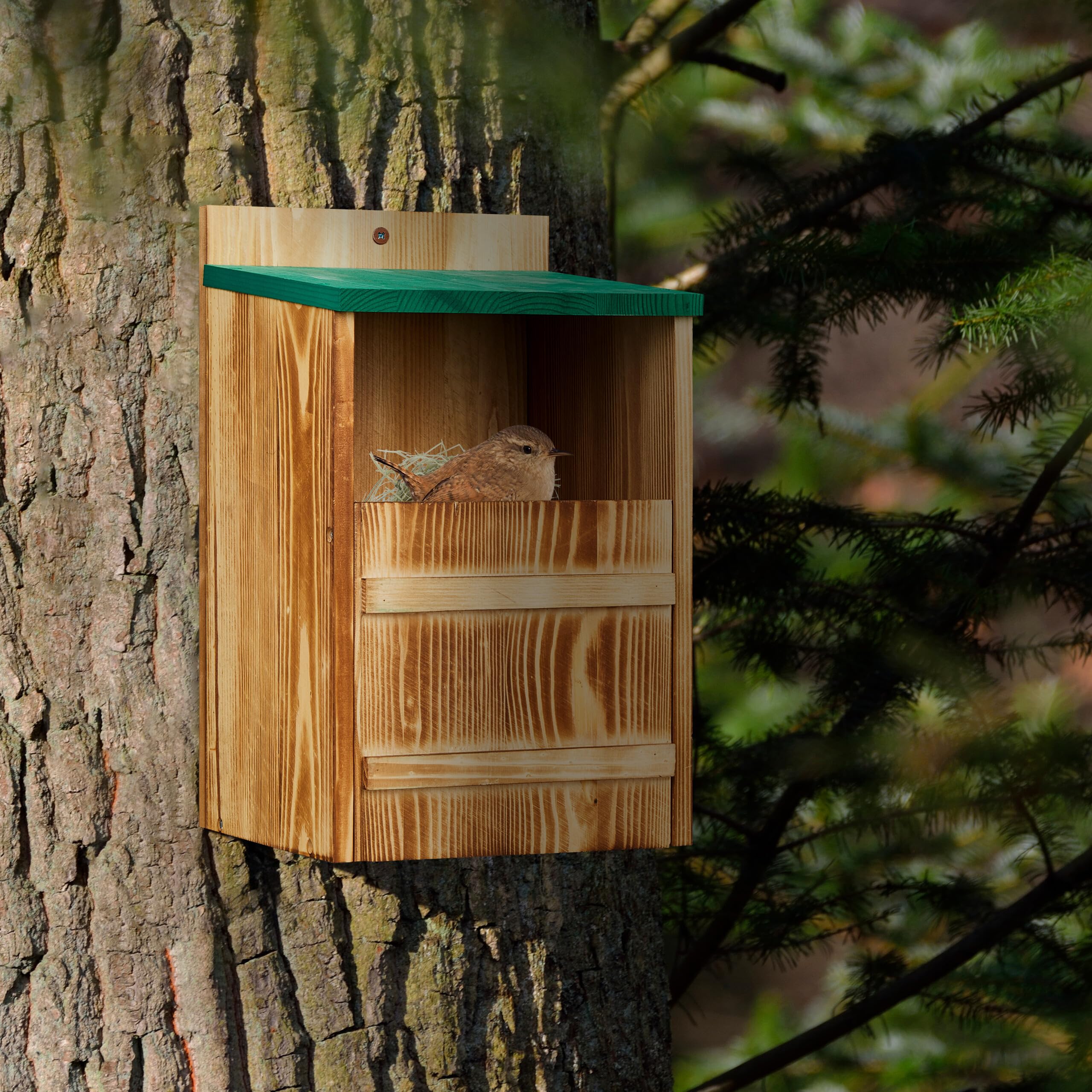 Casetta Nido Uccelli Relaxdays - Legno D'Abete, 36x22x21cm, Foro 10x19.5cm - Foto 4