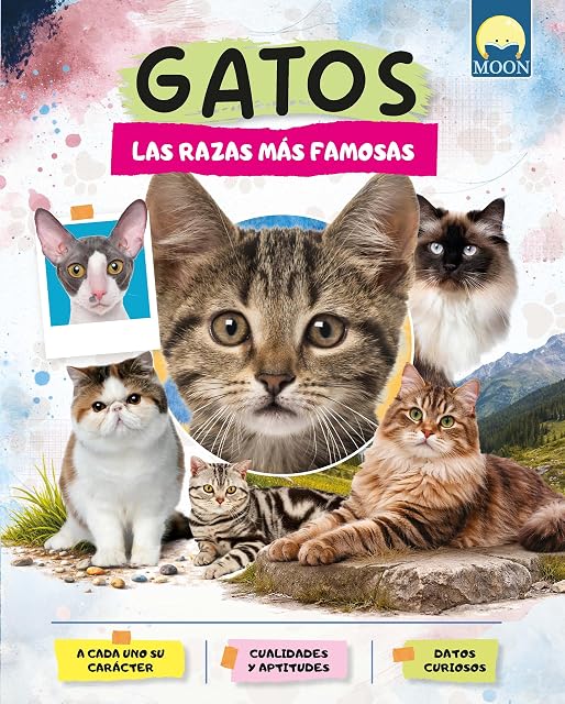 Portada de Gatos. Las razas más famosas
