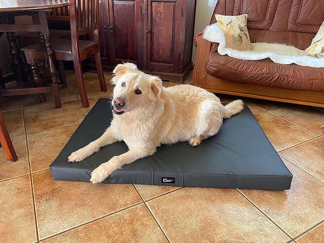 Foto 2 de 4 de Exclusive Bed Colchón para perros Tina de piel ecológica rectangular antracita XXL 120 cm x 90 cm Alfombrilla…