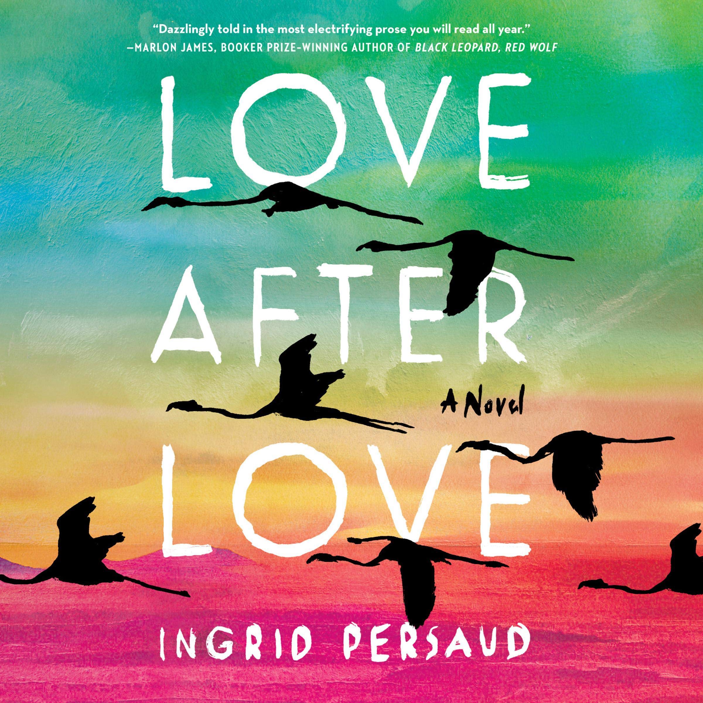 Cover art for Love After Love