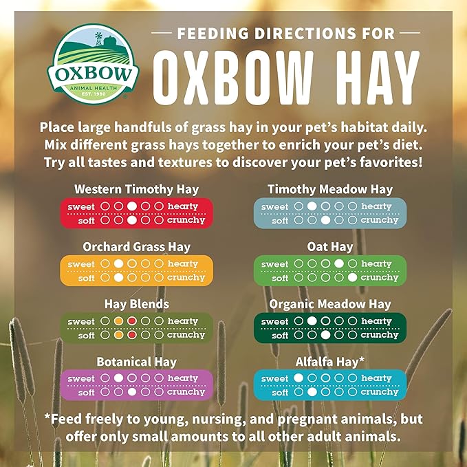 Oxbow Heno Orgánico Meadow para Conejillos de Indias, Conejos y Chinchillas, 40 oz miniatura 5
