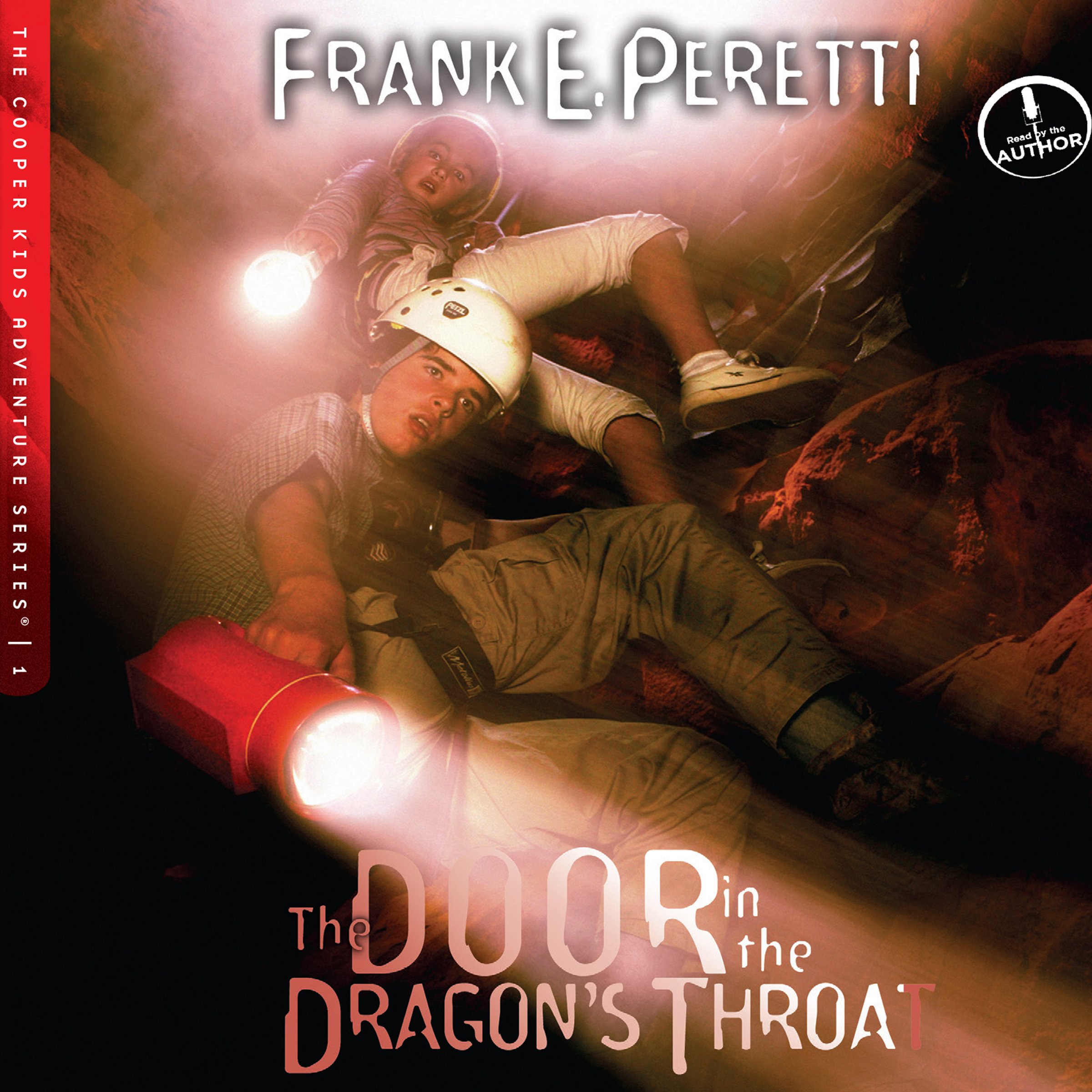 Cover art for The Door in the Dragon's Throat