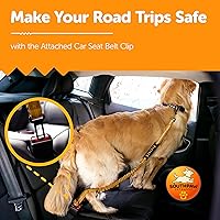 Vista 6 de Correa elástica para perro con absorción de golpes de 4 a 7 pies para Golden Retreivers con hebilla de cinturón de seguridad y mango acolchado