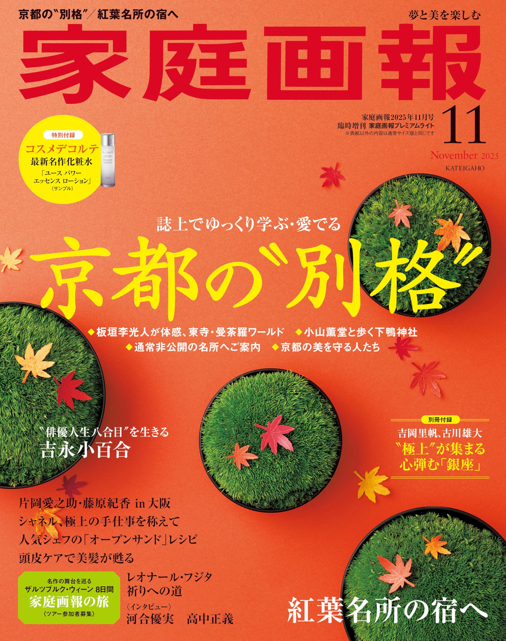 家庭画報 2025年11月号プレミアムライト版 (家庭画報増刊) | 家庭画報