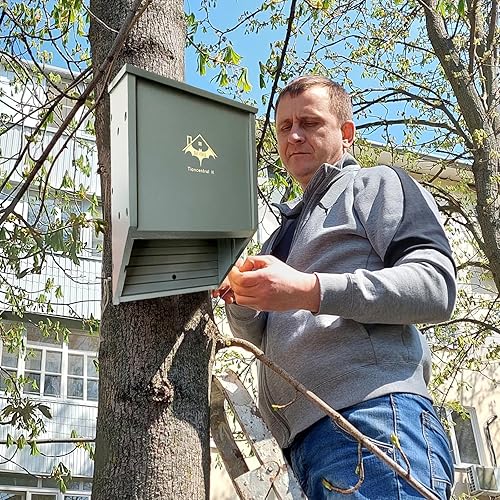 Miniatura 6 de Casas de murciélagos para exteriores de 2 cámaras, color gris, caja de murciélagos de 14.7 pulgadas para exteriores, madera natural, limpia tu patio