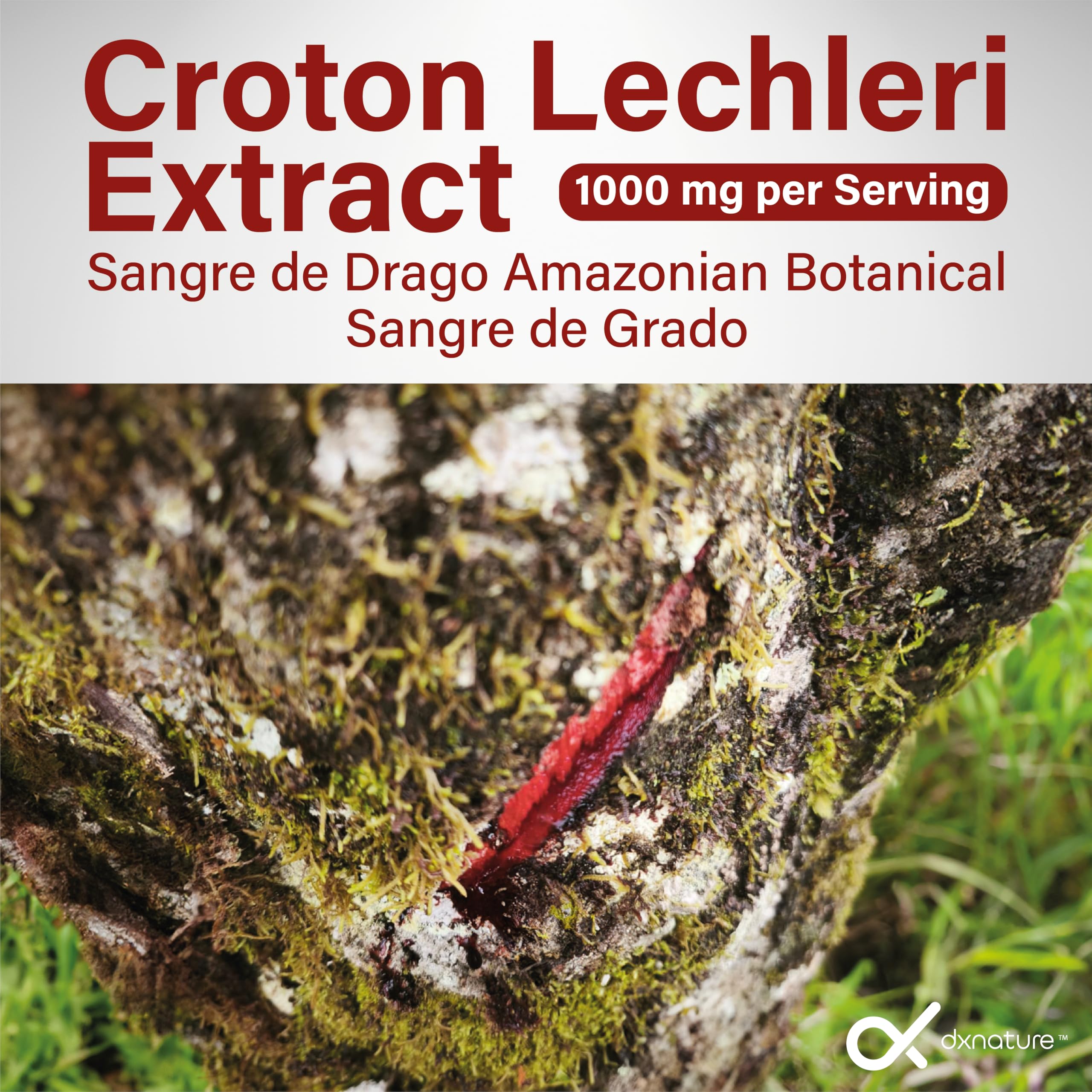 Dragon’s Blood Capsules 1000 mg | Croton Lechleri Extract (Sangre de Grado, Sangre de Drago) | Digestive & Skin Support | 60 Capsules — Amazon image 3