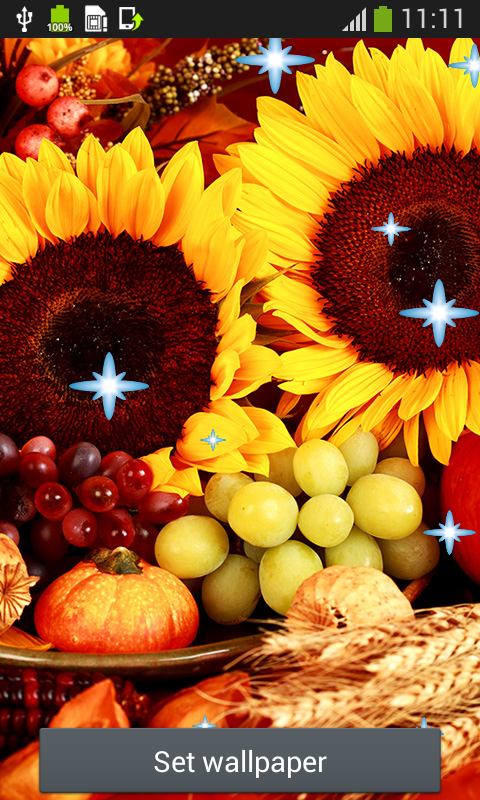 Set As Wallpaper Thanksgiving