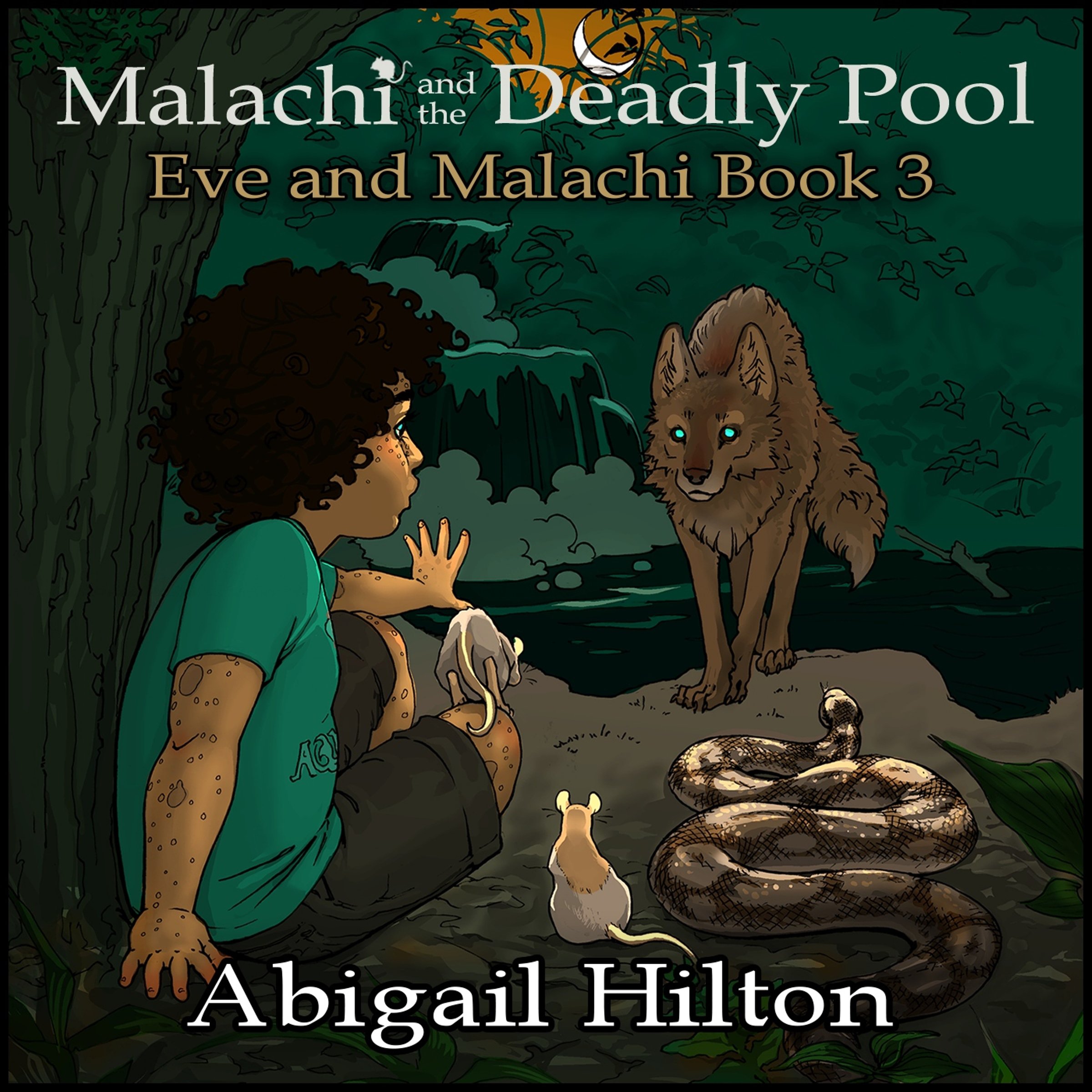 Cover art for Malachi and the Deadly Pool