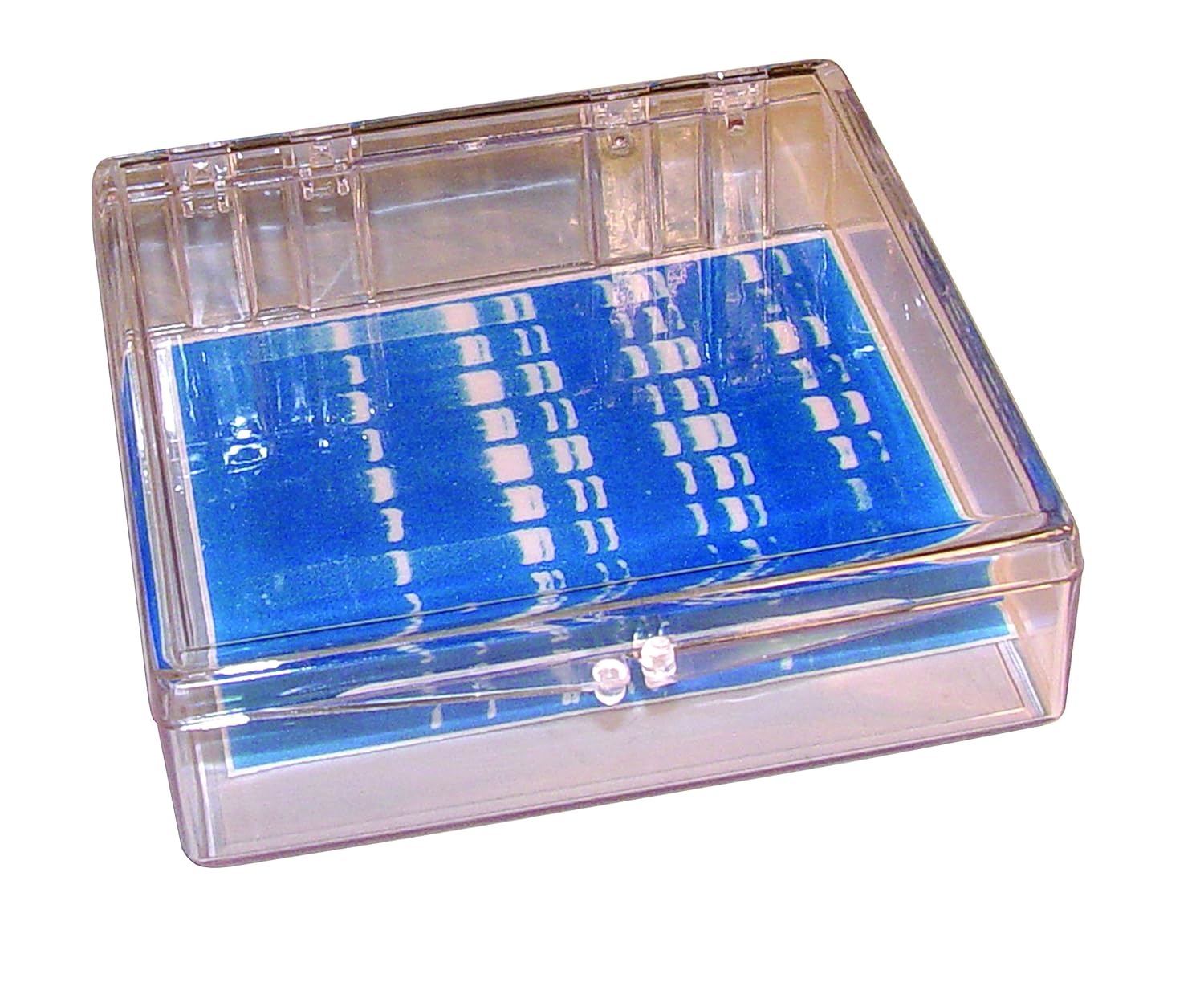 Mini-Blotting Containers, 11.5 x 11.5 x 3.5cm, Clear, 6 per Case
