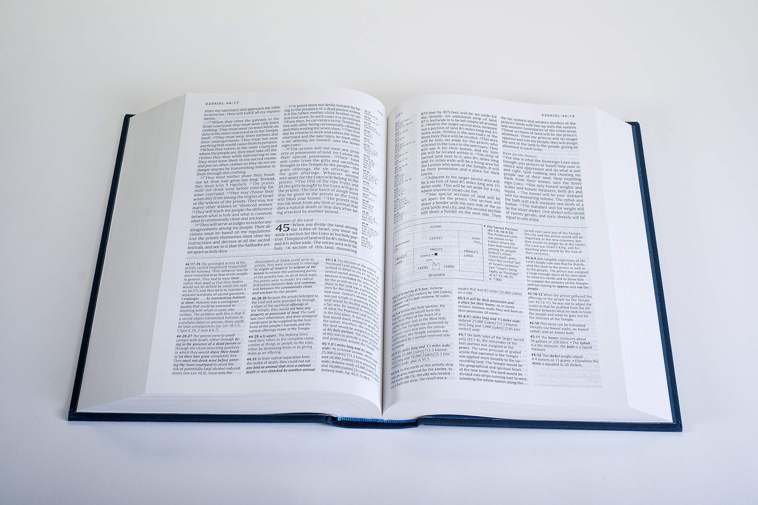 NLT Study Bible: New Living Translation