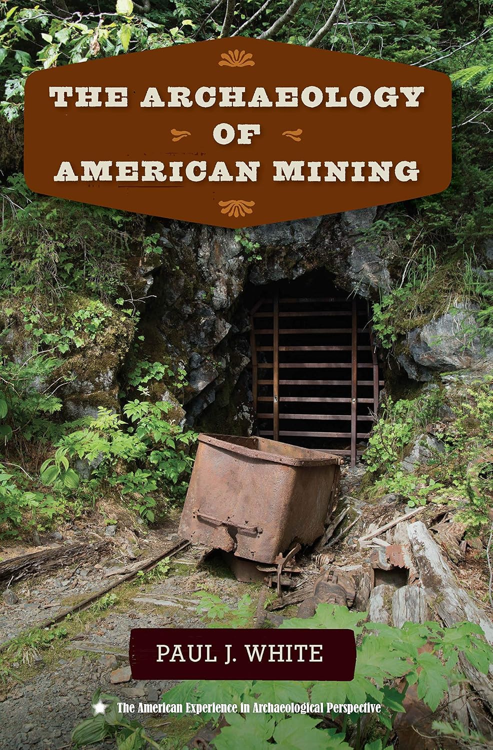 The Archaeology of American Mining (The American Experience in Archaeological Perspective)