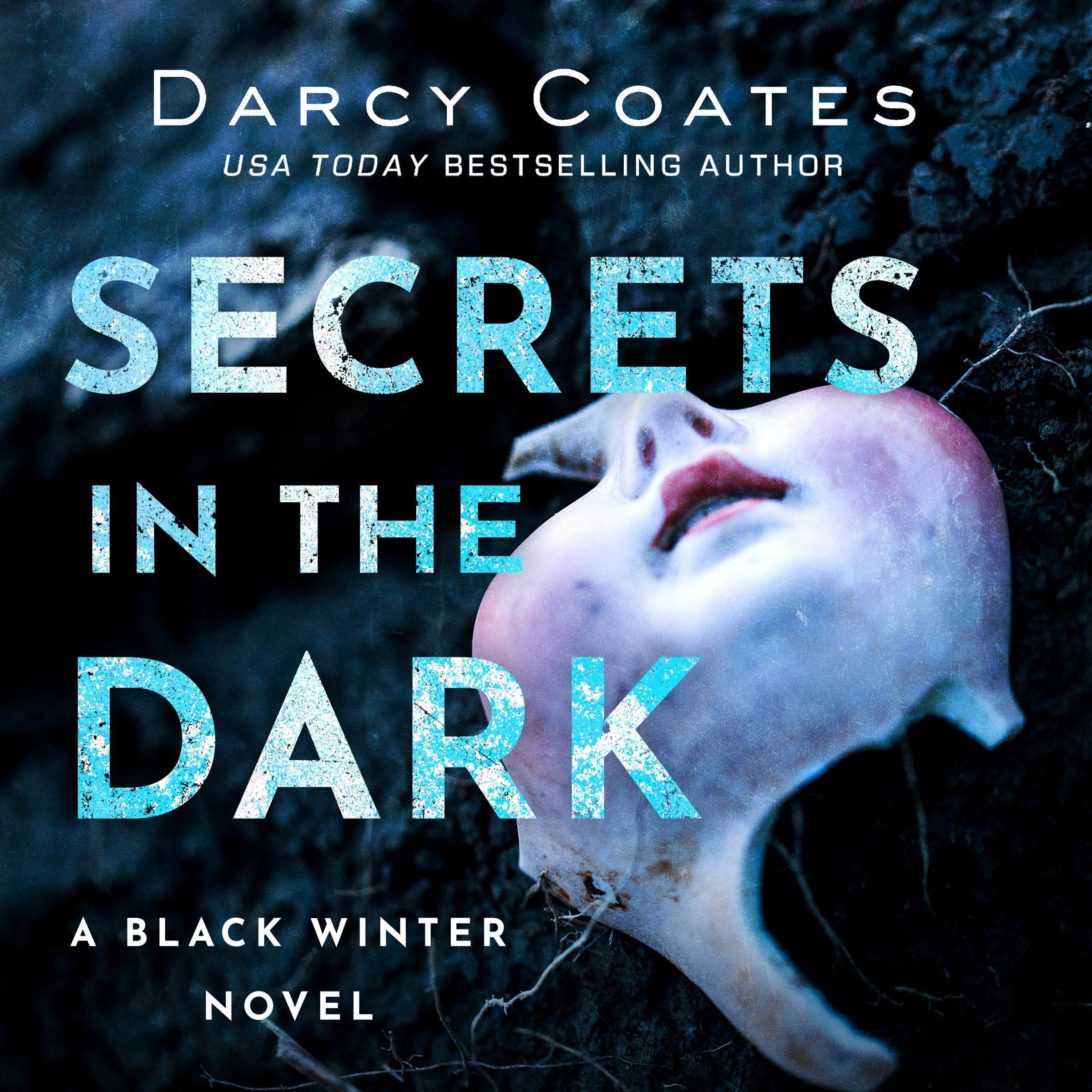 Cover art for Secrets in the Dark