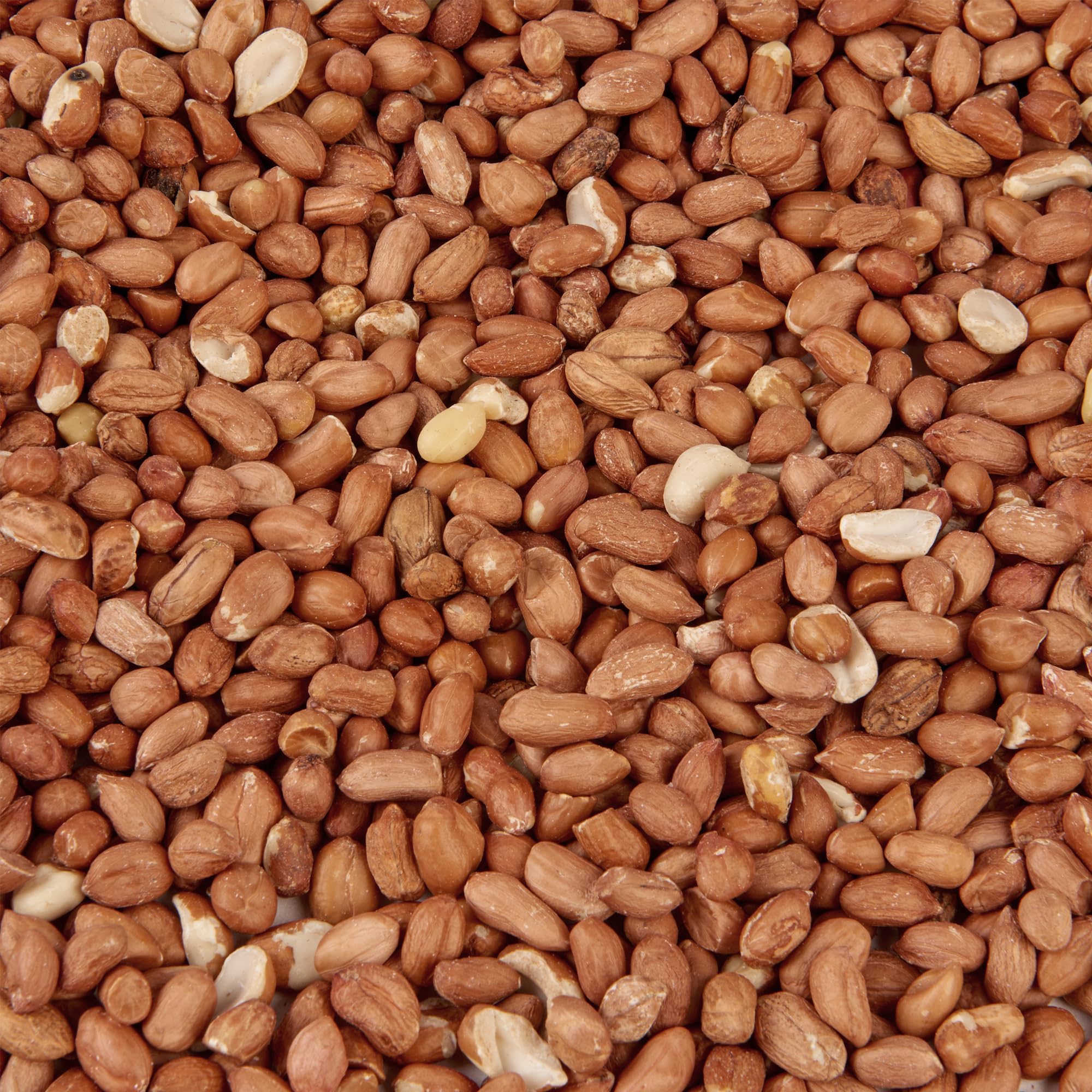 Wild Bird Food (1kg, Peanuts)