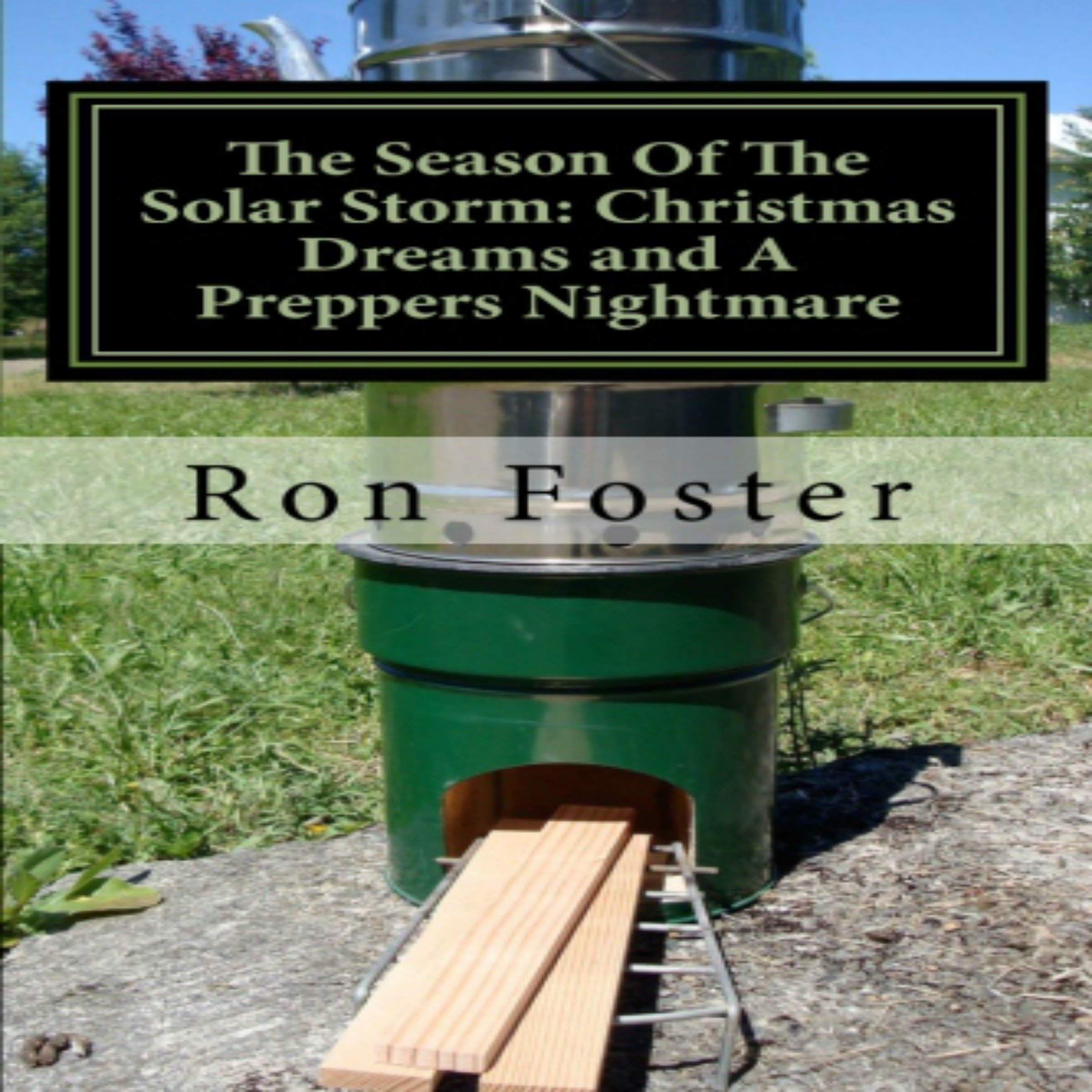 Cover art for The Season of the Solar Storm