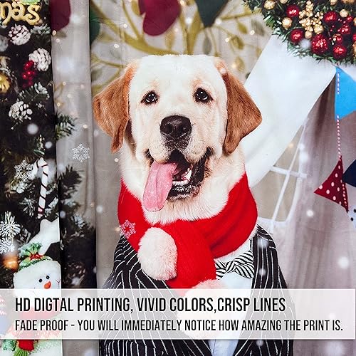 Miniatura 5 de Misnest Tapiz personalizado, fotos personalizadas, texto para el hogar, dormitorio, fiesta, sala de estar, telón de fondo, horizontal, 37 x 29