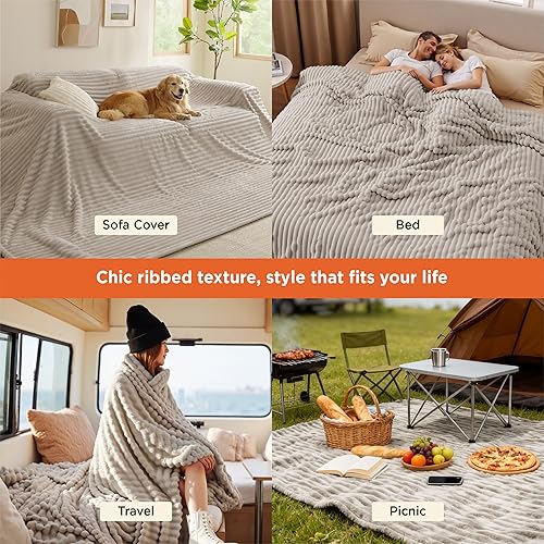 Miniatura 388 de Bedsure GentleSoft Twin Blanket for Couch - Cozy Soft Blankets for Women, Cute Small Fleece Throws for Girls, Light Grey, 60x80 Inches