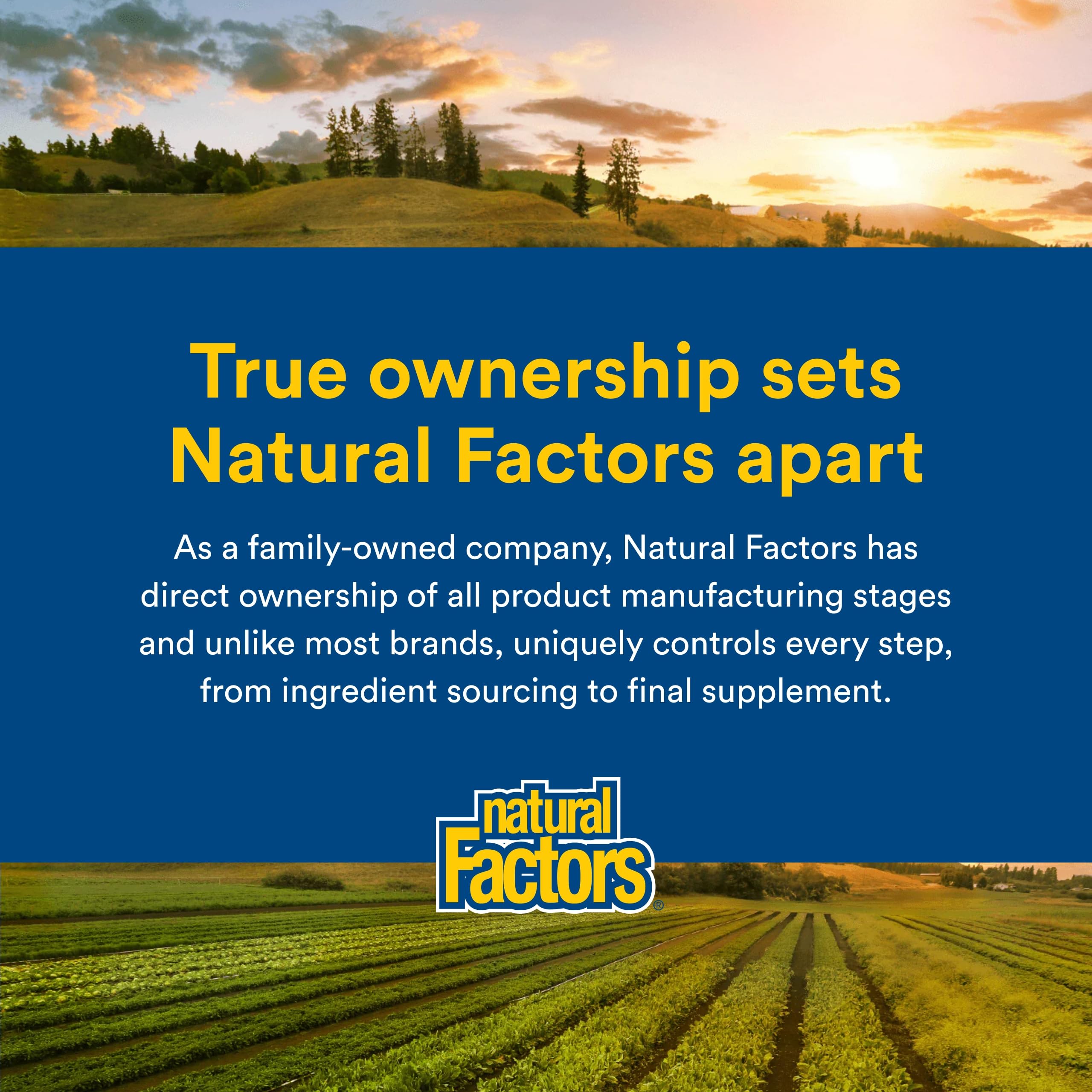 Natural Factors Micronized L-Glutamine Amino Acid 5,000 mg, 90 Servings — Amazon image 7