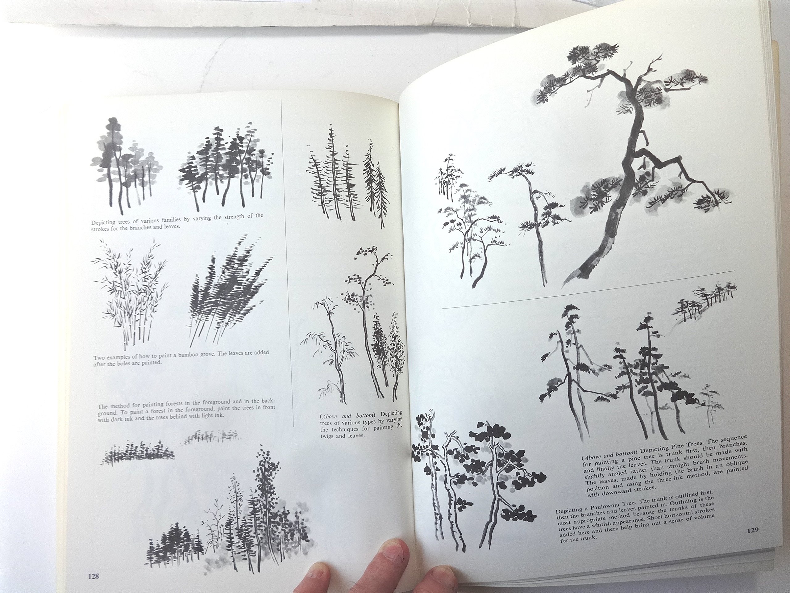 Complete Sumi-e Techniques