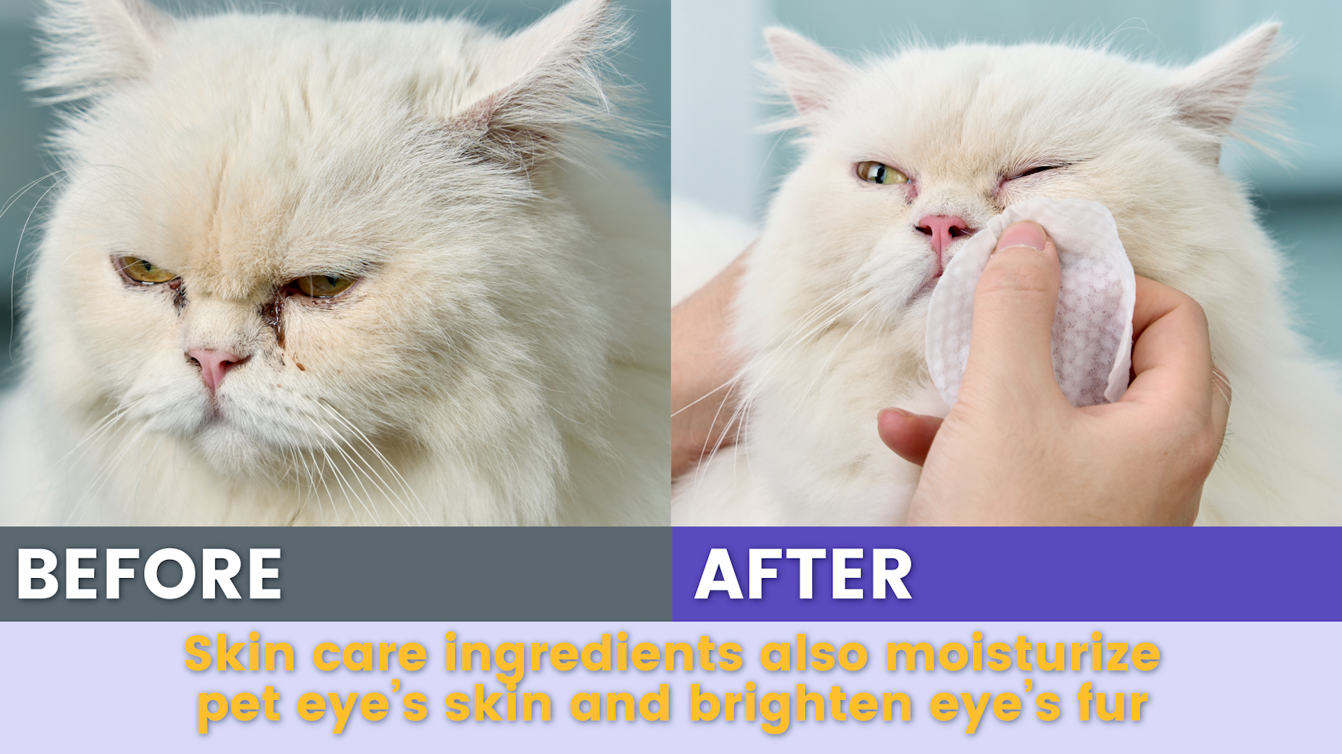 Mineroll Cat Eye Wipes For British Shorthair And Scottish Fold Individually Wrapped Gentle Tear Stain Remover Fragrance Free