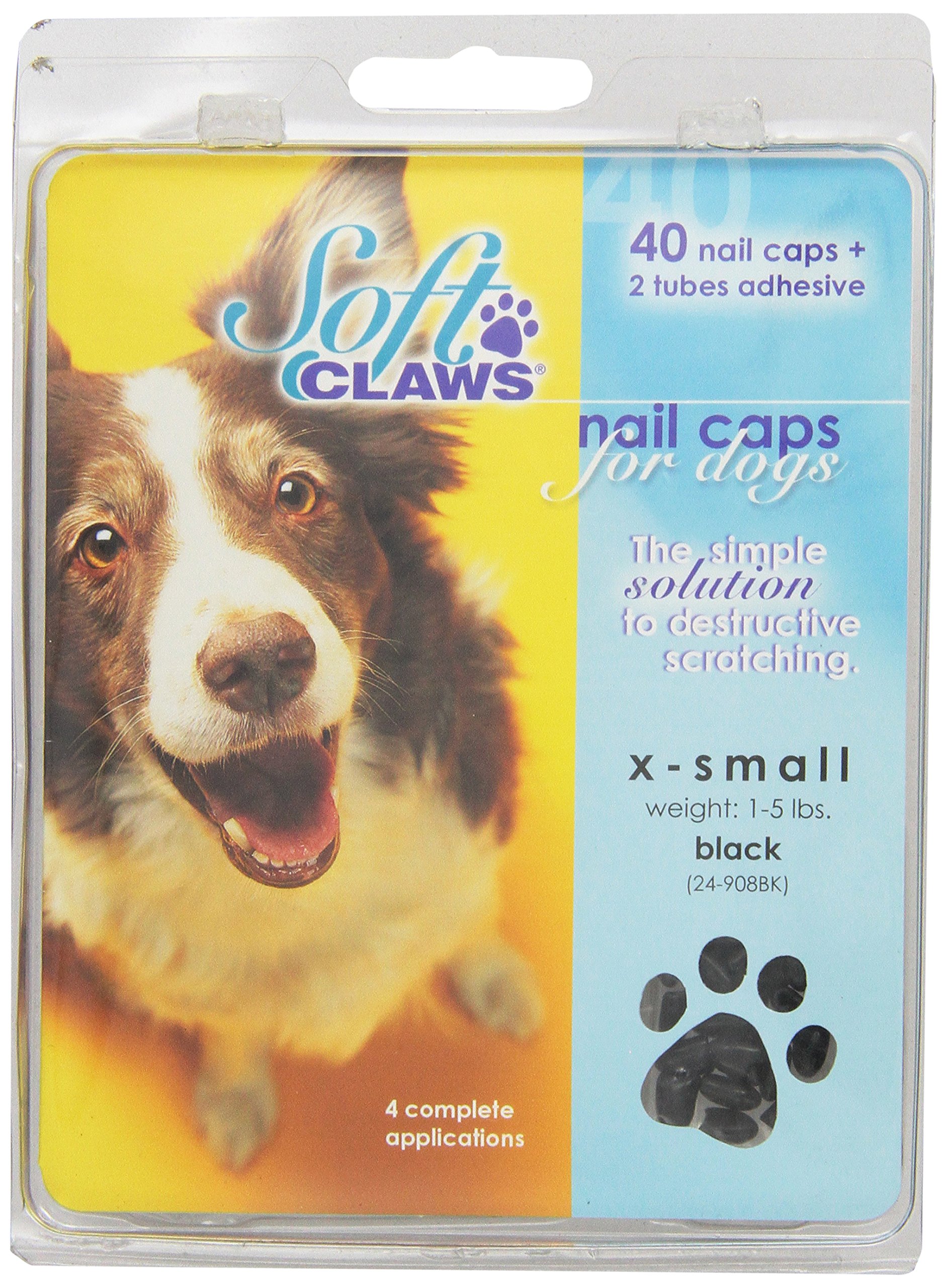 Why Does My Dog Have 1 Black Nail