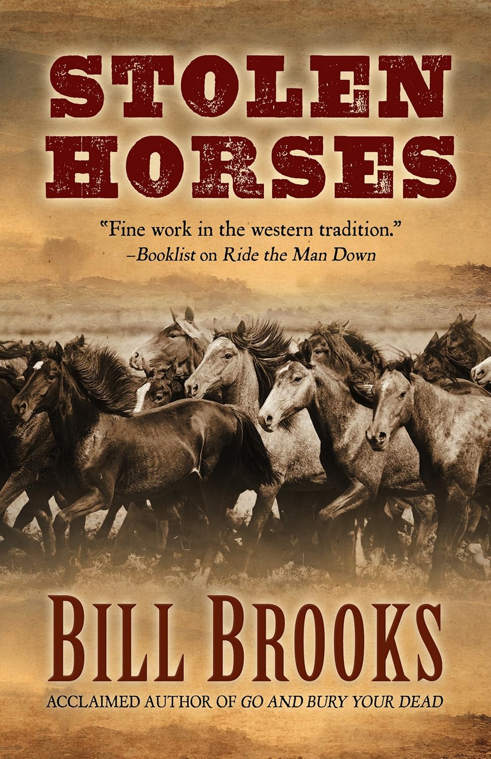 Stolen Horses Brooks, Bill 9781432832001 Books