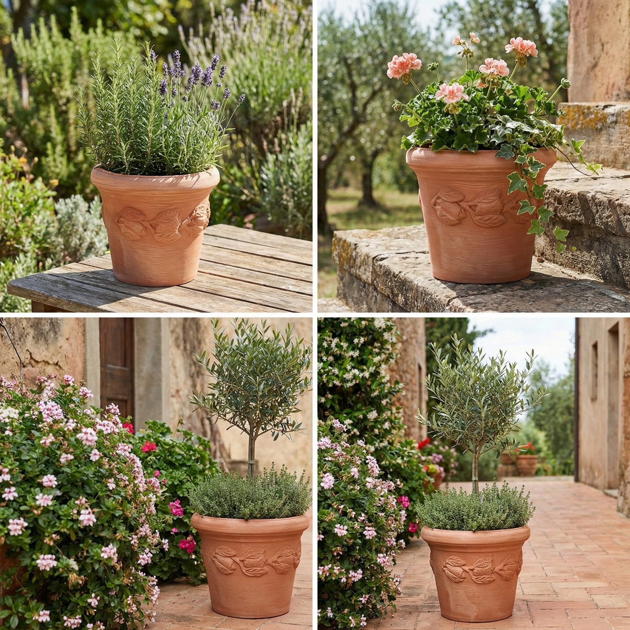 Teramico Liscio Toscana Limoni Toscana - Vaso da fiori in terracotta artigianale italiana, 25 cm - 40 cm, assolutamente resistente al gelo, terracotta italiana (30cm, Limoni Toscana)