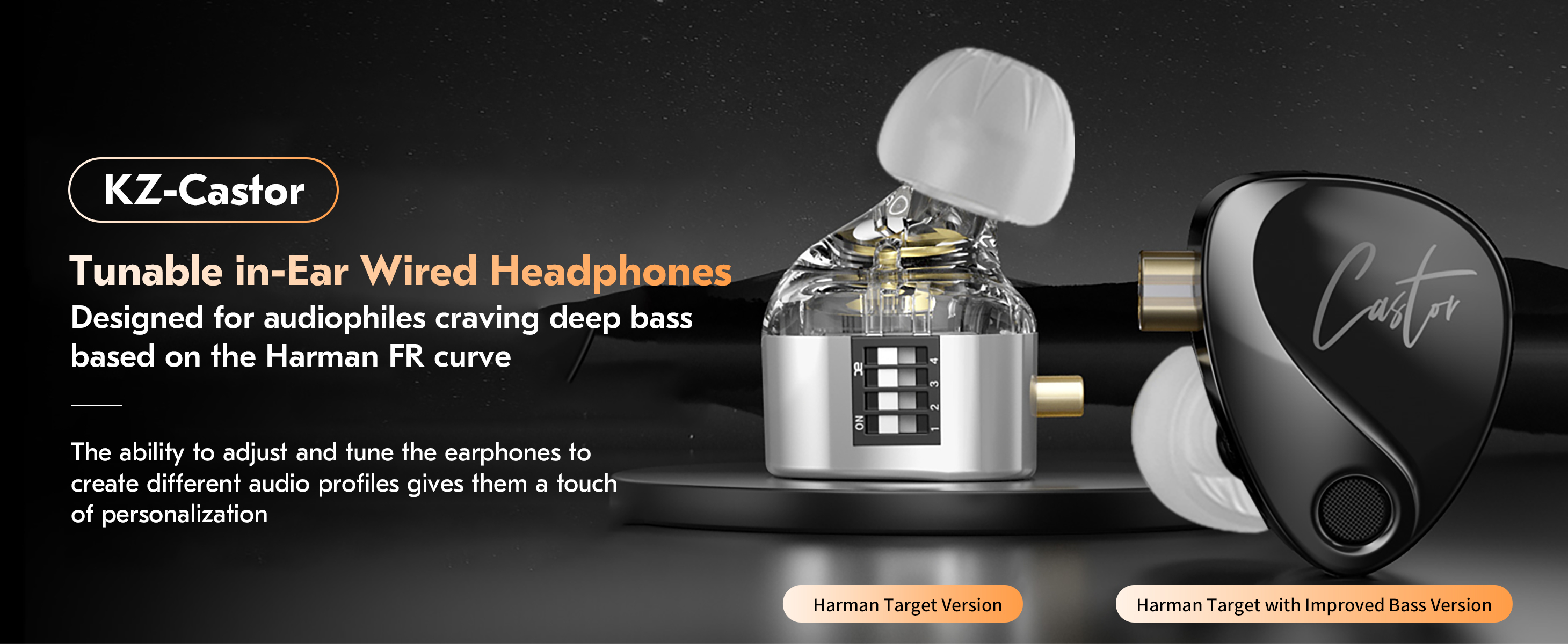 KZ Castor IEM, kz in-ear monitor oordopjes met dubbele dynamische drivers voor muzikanten zangers, afstembare in-ear oortelefoons hoofdtelefoon met 2dd-stuurprogramma's, instelschakelaar