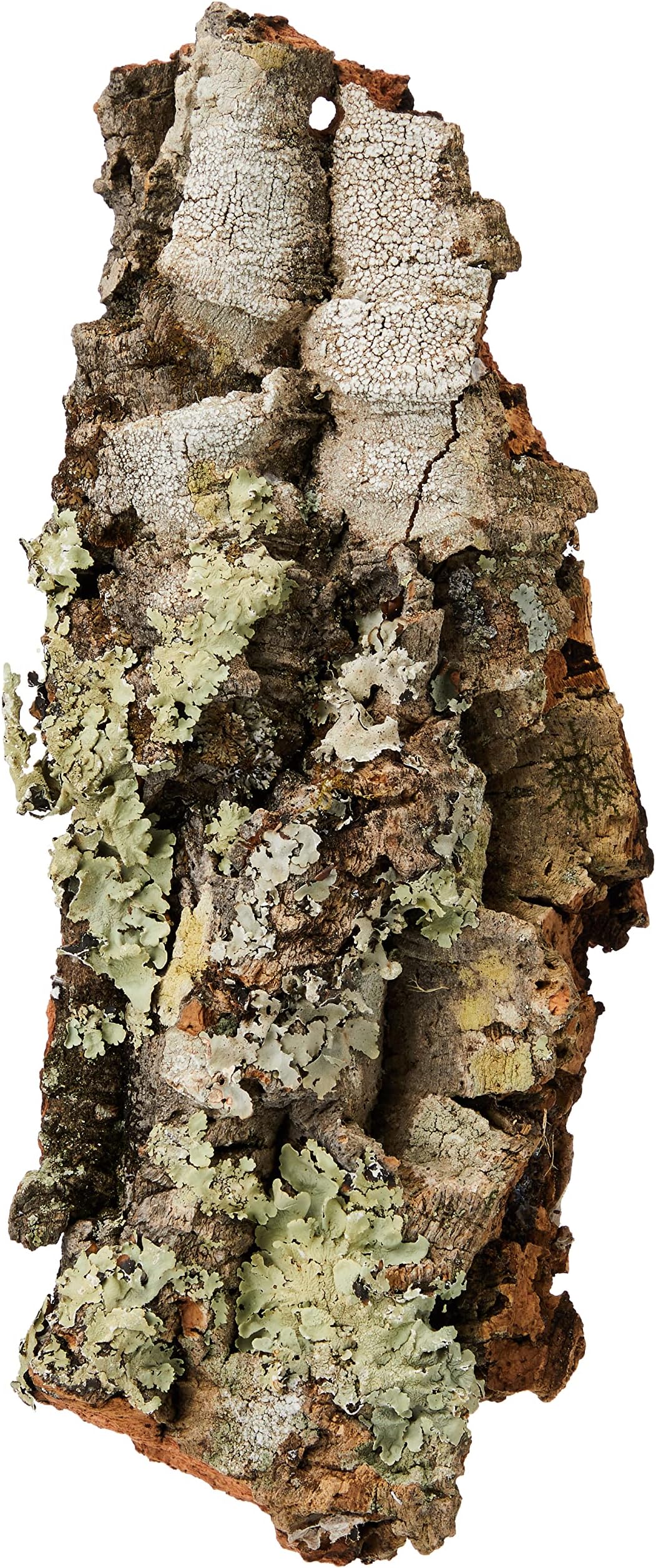 Komodo Mini Habitat Bark Mould Resistant Natural Shelter Hiding Basking Spot for Reptiles terrarium Encourages Natural Instincts