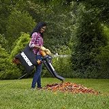 WORX Souffleur Aspirateur Broyeur 3000W WG505E 3-en-1 - 9
