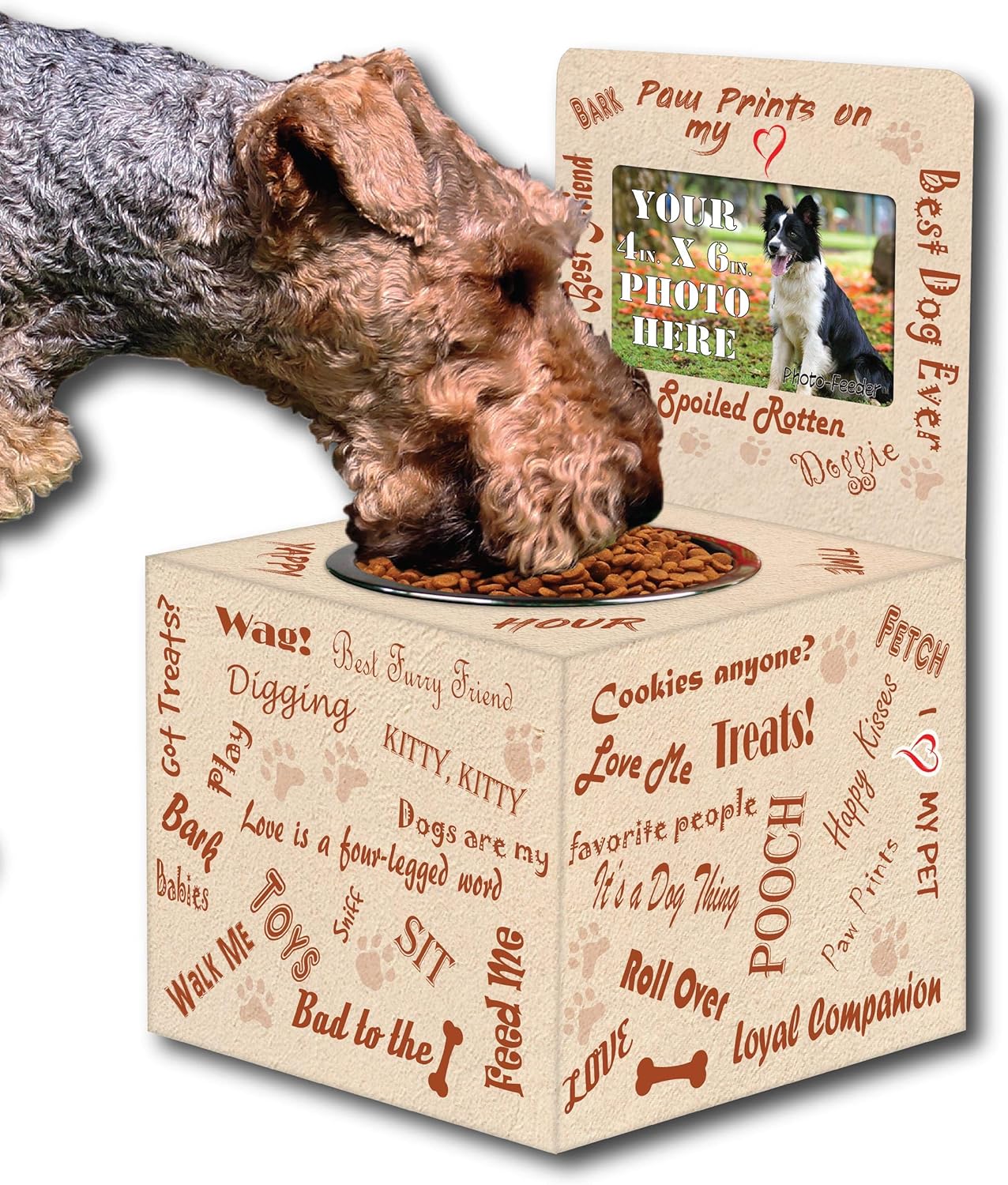 Funtime Feeders™- Colorful Festive Elevated Raised Pet Feeder Stand with 4" x 6" Photo Frame and Stainless Steel Feeding Bowl for Medium Dogs - Spoiled Rotten