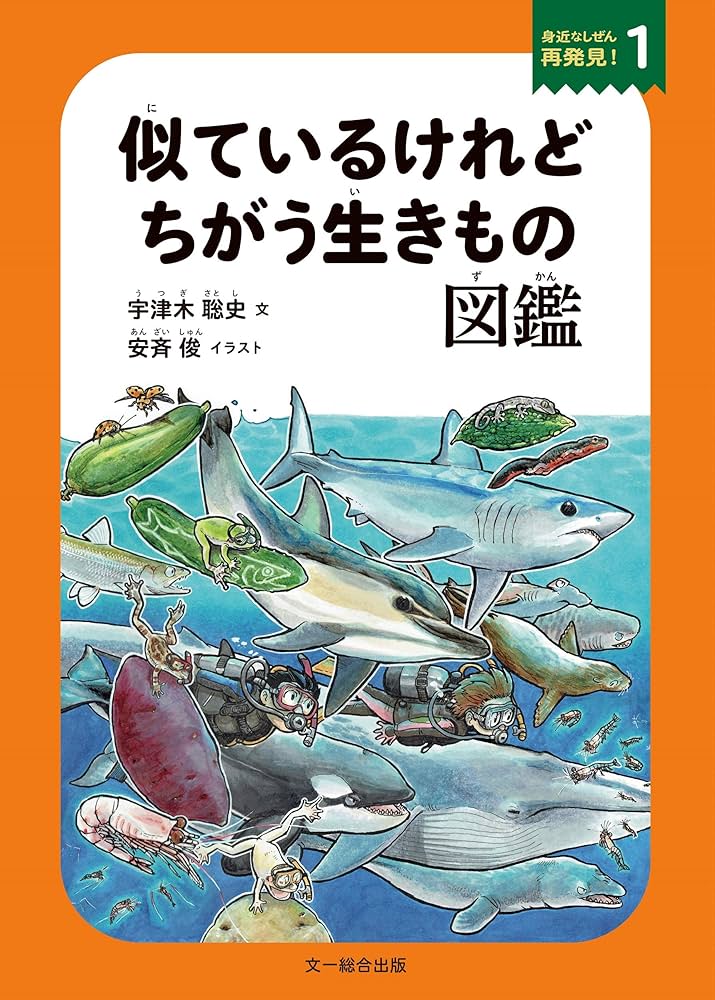 アダチサチコ絵本シリーズビデオ コンシャスネス意識 71mVmq0DzZL._UF1000,1000_QL80_.jpg