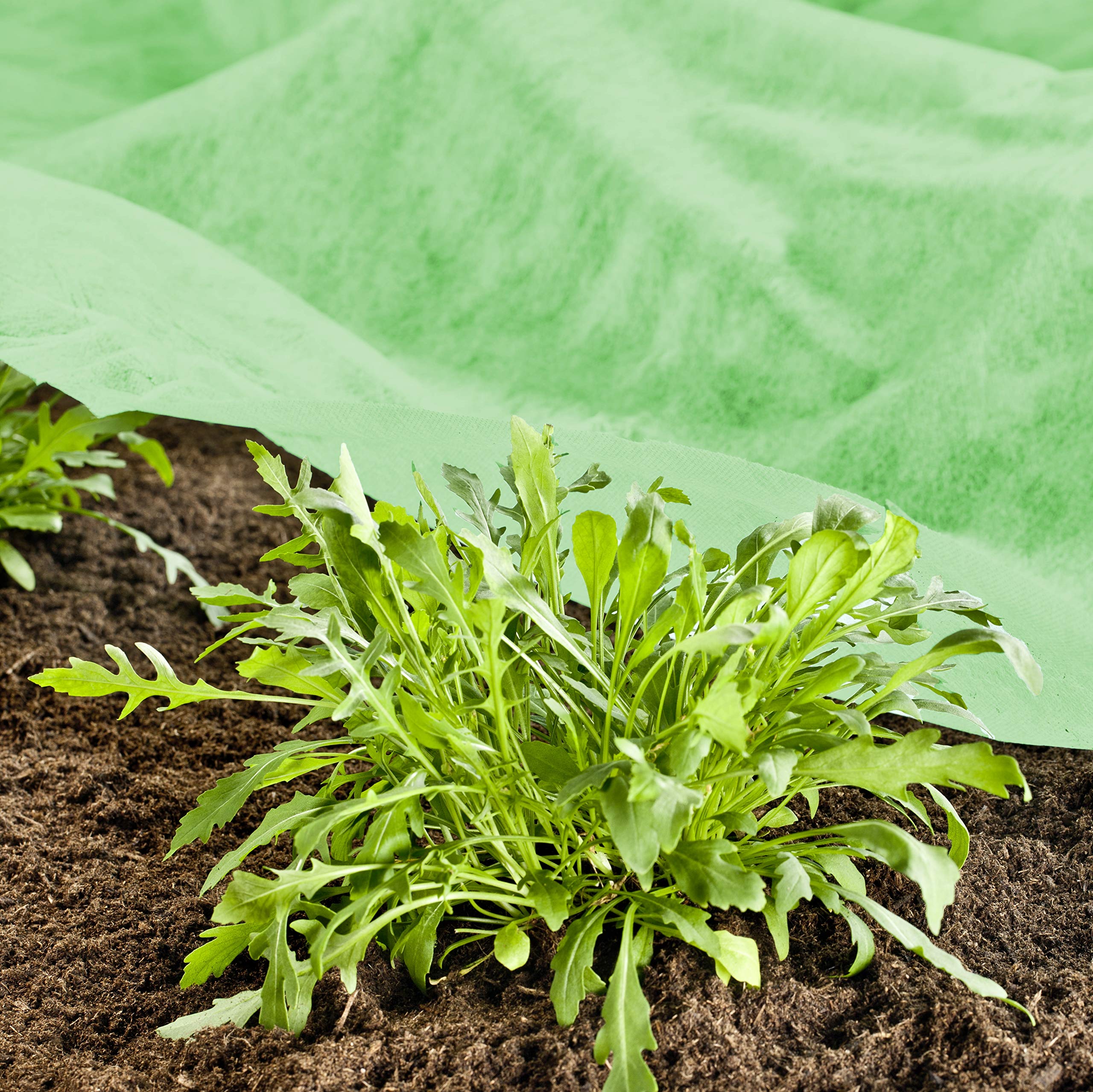 Windhager Włóknina ogrodowa Supergrow, włóknina do wzrostu dla optymalnej wymiany ciepła i wilgoci, 1,5 x 10 m, 20 g/m², 06769